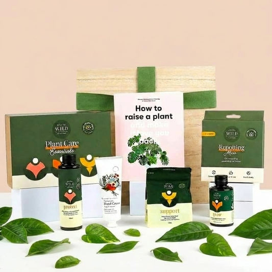 Gardeners Gift Hamper. Garden Lover's Gift Hamper. Housewarming Gifts, Gifts for Her. Gifts for him. Gift Hamper delivery Nationwide. Same day delivery.