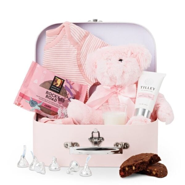 Newborn Baby Girl Gift in Suitcase