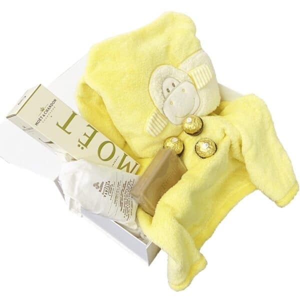 Moet & Chandon New Baby Gift