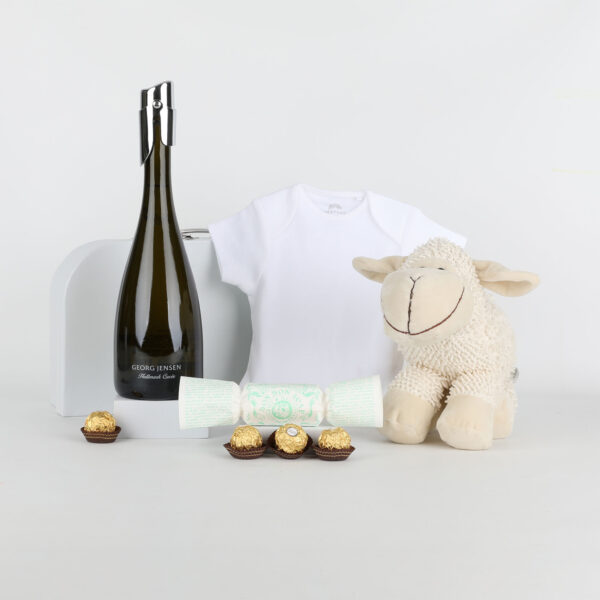 Newborn Baby Gift with Sparkling Wine