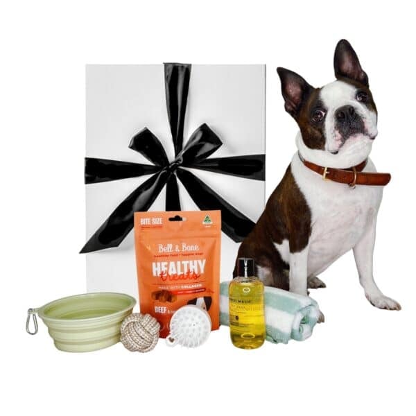Pampered Pooch