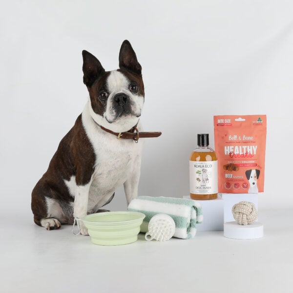 Pampered Pooch Gift