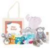 Hey baby gift bag